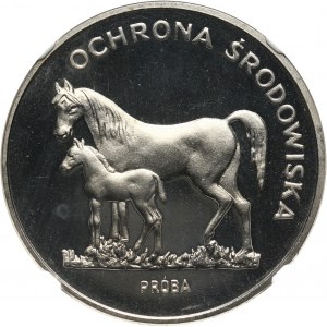 PRL, 100 złotych 1981, Konie, PRÓBA, nikiel