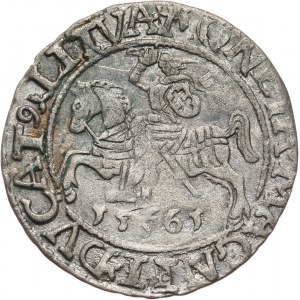 Zygmunt II August, półgrosz 15665, Wilno