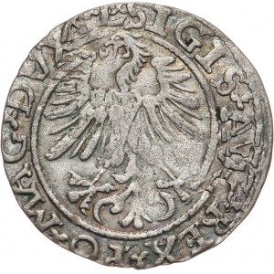 Zygmunt II August, półgrosz 15665, Wilno