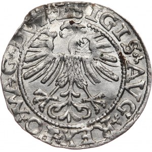Zygmunt II August, półgrosz 1562, Wilno