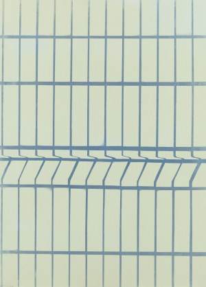 Paulina Grosz (ur. 1996), 
