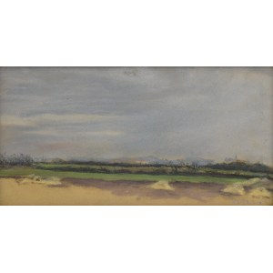 Maler unbestimmt - monogrammiert WJ, 19./20. Jahrhundert, Landschaft mit Wiesen, 1904