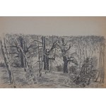 Jan WAŁACH (1884-1979), „Willa Koliba” - zestaw 6 rysunków