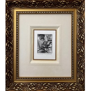 Roman ZIELIŃSKI (1952), Set of four framed prints