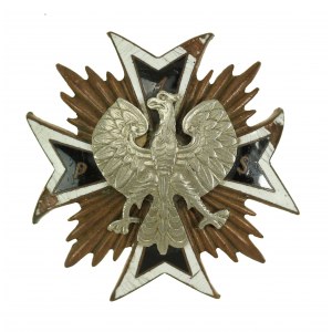 Odznaka 1 Pułk Samochodowy (110)