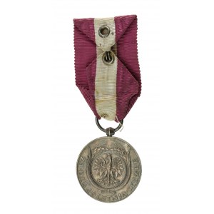 II RP, Medal za Długoletnią Służbę, XX lat (138)
