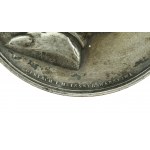 Medal 100-lecie urodzin Mickiewicza 1898 (877)