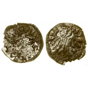 Polska, denar, 1555, Gdańsk