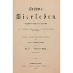 Alfred BREM