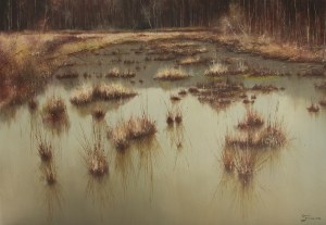 KONRAD HAMADA, WETLANDS, 2018