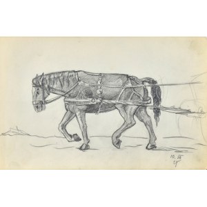 Stanislaw ŻURAWSKI (1889-1976), Horse in harness, 1921