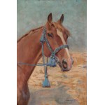 Jerzy KOSSAK (1886-1955), Hlava koně v modrém jezdeckém plášti.