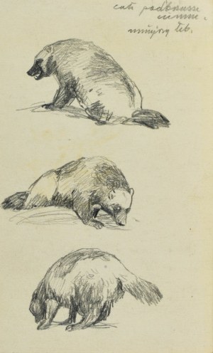 Ludwik MACIĄG (1920-2007), Trzy szkice zwierzęcia