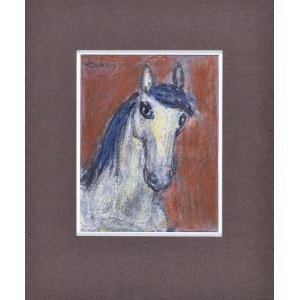 Eugeniusz TUKAN-WOLSKI (1928-2014), White horse