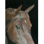 Justyna Kierlańczyk, Portrait of a Horse, 2022.