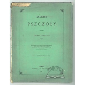 (PSZCZELARSTWO). GIRDWOJŃ Michał, Anatomia pszczoły.