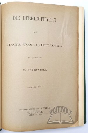 RACIBORSKI Marian, Die Pteridophyten der Flora von Buitenzorg.
