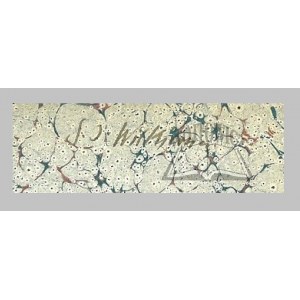(WITKIEWICZ Stanisław Ignacy. AUTOGRAF)., Charras. Histoire de la Guerre de 1813 en Allemagne.