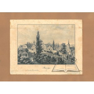 (LVIV). Ambre dans la région de Brzeżansk.