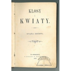 KŁOSY i kwiaty.