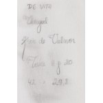 Giulio de Vita (b. 1971), Thorgal. Kriss de Valnor, vol. 2, board #20, 2011