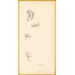 Tamara Lempicka (1895 Moscow - 1980 Cuernavaca, Mexico), Étude de visage (Study of the face), 1949.