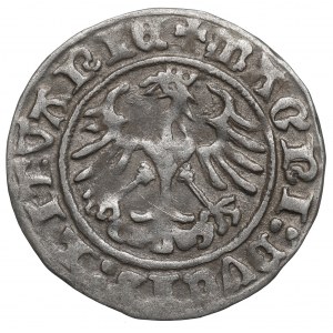 Sigismund I. der Alte, Halber Pfennig 1511, Vilnius - 1511/LITVANIE