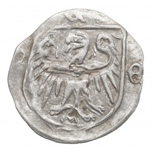 Schlesien, Herzogtum Nysa, Konrad Oleśnicki, Nysa-Hellebarde