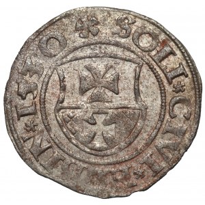 Žigmund I. Starý, Shelly 1530, Elblag - razené