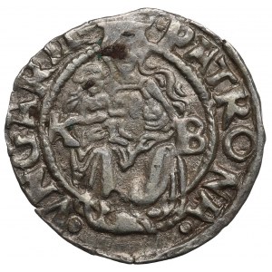 Węgry, Ferdynand, denar 1547 KB