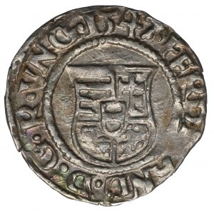 Maďarsko, Ferdinand, denár 1547 KB