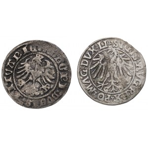 Sigismund I. der Alte und Sigismund II. Augustus, Halbpfennigsatz
