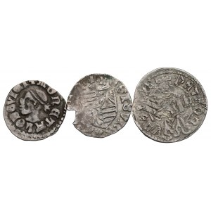Maďarsko, súbor mincí panovníkov spojených s Poľskom