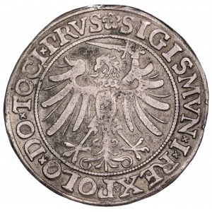 Sigismund I. der Alte, Sechster Juli 1535, Elbląg - Kopie