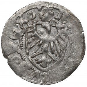 Casimir IV Jagellon, Schilling without date, Danzig