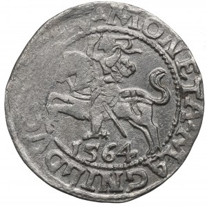 Sigismund II Augustus, Halfgroat 1564, Vilnius - L/LITV