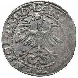 Sigismund II Augustus, Halfgroat 1564, Vilnius - L/LITV