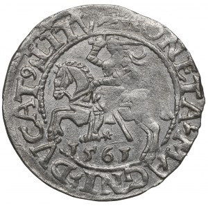 Sigismund II Augustus, Halfgroat 1565, Vilnius