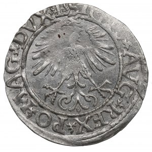 Sigismund II Augustus, Halfgroat 1565, Vilnius