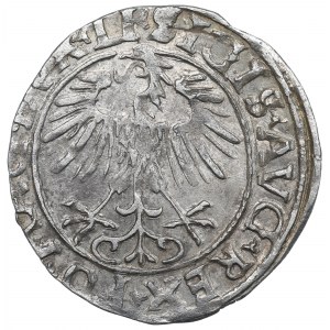 Sigismund II Augustus, Halfgroat 1556, Vilnius