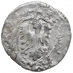Casimir IV Jagellon, Schilling without date, Danzig