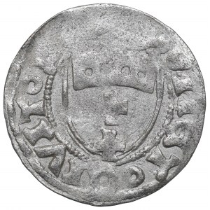 Casimir IV Jagellon, Schilling without date, Danzig