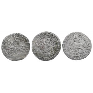Sigismund II Augustus, Set of half-pennies 1558-62