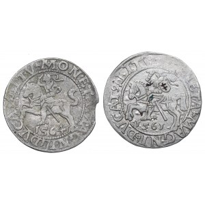 Sigismund II Augustus, Set of half-pennies 1561-64