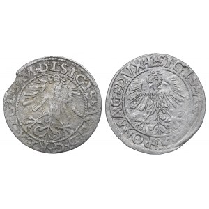Sigismund II Augustus, Set of half-pennies 1561-64