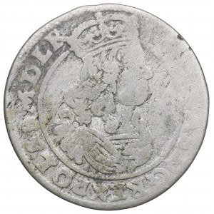 John II Casimir, 6 groschen 1665, Bromberg