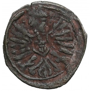 Sigismund III, Denarius 1603, Posen - very rare