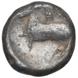 Danubian Celts, didrachm