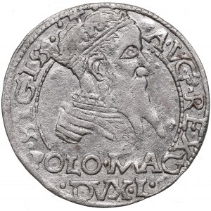 Sigismund II Augustus, Groschen 1567, Tiktin