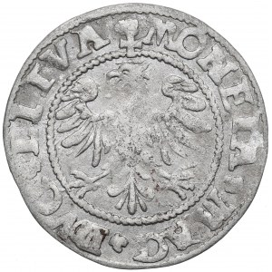 Sigismund II Augustus, Halfgroat 1545, Vilnius